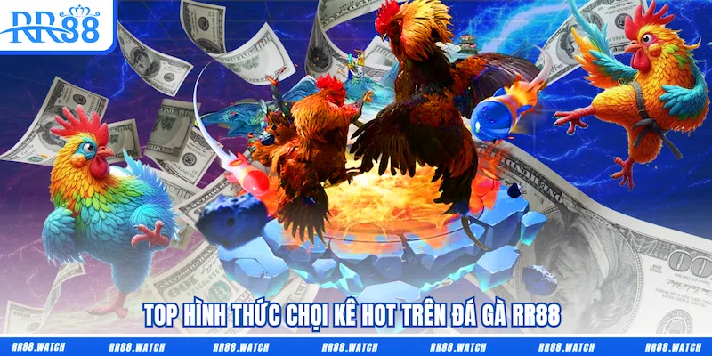 Top hình thức chọi kê hot trên Đá gà RR88 